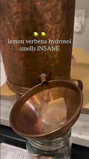 Lemon Verbena Hydrosol — handcrafted with care by Of The Earth Apothecary.