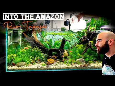 BUILDING THE AMAZON: Planting, Clear Water, Adding Fish - The Tapajos River