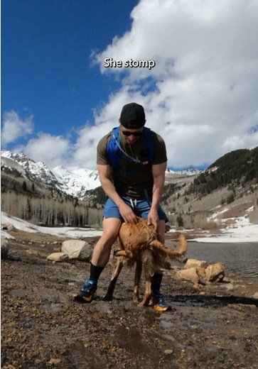 Nala's First Swim of 2025: A GoPro Adventure