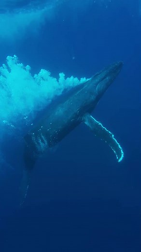 El poder del momento presente con Mau Otero