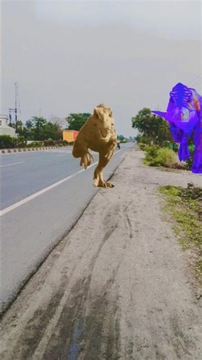 dinosaur Jurassic world T_rex part893#vfx #pterosaurus #vfx # #vfx #vfx #pterosaurus#hulk#2026