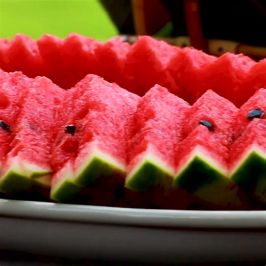 For over 40 years, Masters Pest Control has been trusted for its comprehensive treatments and environmentally sound methods. | Masters Termite & Pest Control