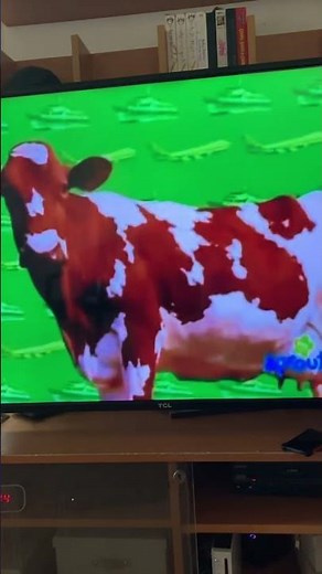 Elmo world transportation quiz