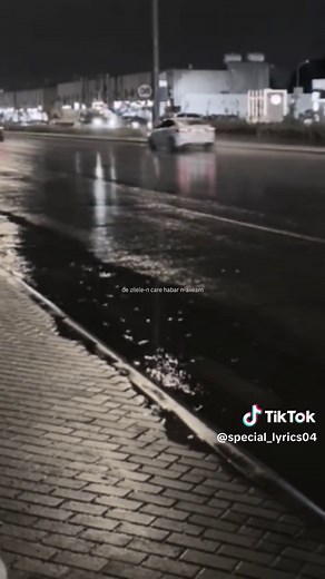 Exploring Old Romanian Songs for Nostalgic Moments