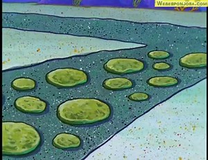 Bob Esponja, videos y mas - Temporada 1 - La aspiradora
