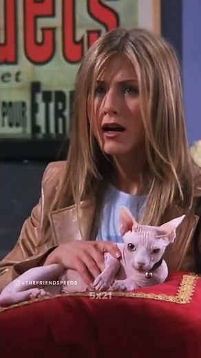 Rachel's Cat from Friends.