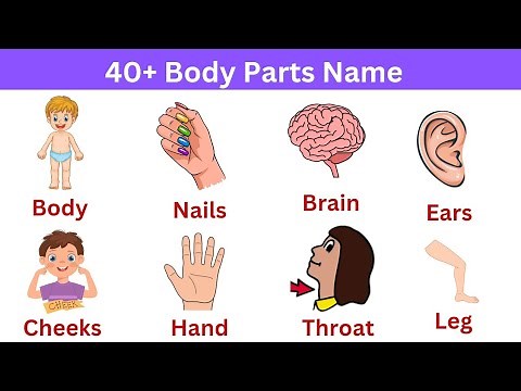 Parts of our Body | English Vocabulary | Body Parts Name in English with Pictures | Fun learning