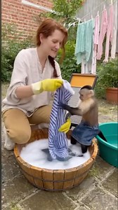 A woman teaches a monkey to wash clothes | Monkey Sora US