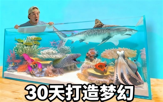 [中配]30天打造梦幻盐水珊瑚礁池塘 - The Fish Guys