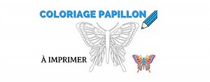 Coloriage Papillon | Papillon Univers