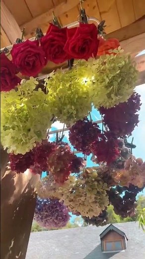 Comment faire des fleurs séchées à la maison ? Tuto simple et facile à réaliser 💐