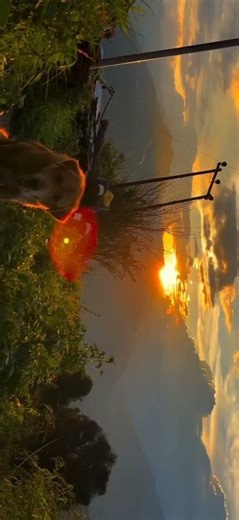 Beautiful Sunset View | Relaxing Nature Sunset Scenery #shortvideo #sunsetview#sunny #sunsetsky#sun