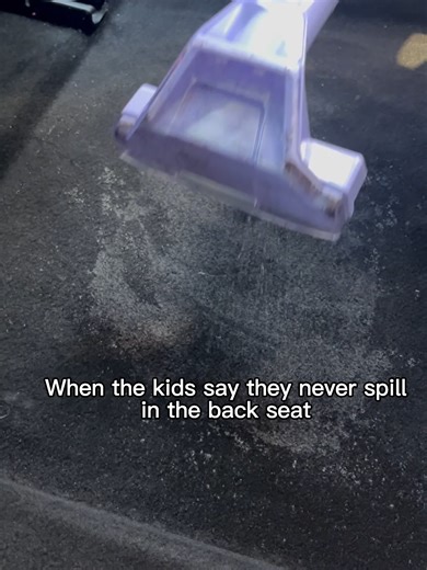 Transform Your Back Seat: A Cleaning Journey