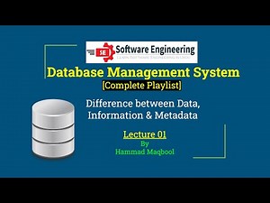 Data vs Metadata vs Information | DBMS | Lecture 01 Hindi/Urdu