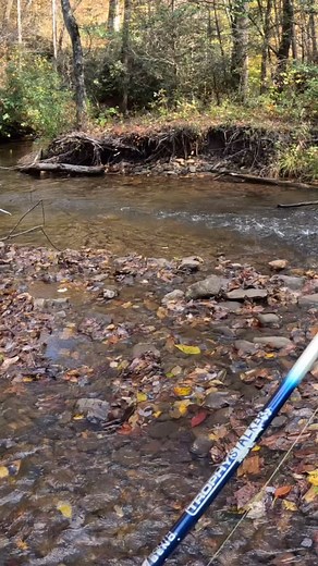 1.7K views | Trout LOVE @joesfliesinc ❗️ • LURE: @joesfliesinc 1/8 March Brown LINE: @sufixlines REVOLVE 6 LB Braid REELS: @daiwausa 2500 REGAL • ❗️FOLLOW @fisherfolk FISHING ADVENTURES ❗️ • #fishing #troutfishing #trout #catch | FisherFolk | Facebook