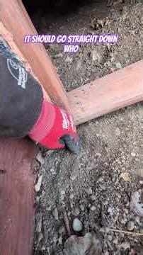Mice burrowing under the crawlspace entrance into this house. #pestcontrol #diypestcontrol #mice