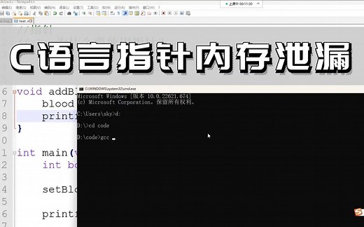 C语言难点解析：指针与内存泄漏，分享超多干货，全程详细讲解！