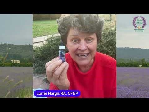 February Health Forecast: Embrace Yourself Be Grounded & Warm Hearted with Rosemary Flower Essence!