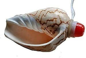 Fair Trade Vietnamese Sea Shell Horn/Flute/Vuvezela with Neck Cord