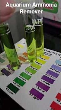Aquarium Ammonia Remover | Effective Ammonia removal solution. #ammonia #fishdeath #aquarium