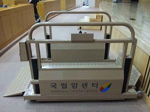 [Hot Item] Wheelchair Lift Price for Disabled in Public