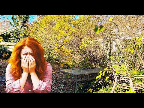 Single MOM DESPERATELY needed help then Broke down in tears when I mowed it for FREE
