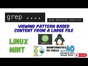 grep Commands to View Files with Patterns in Linux Mint and –help Flags for Any Command | Full Guide