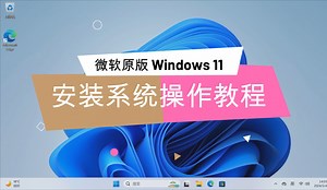 Win11系统安装录像（下载系统，启动安装，跳过联网，分区调整）