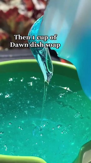 Gilbert House Childrens Museum on TikTok