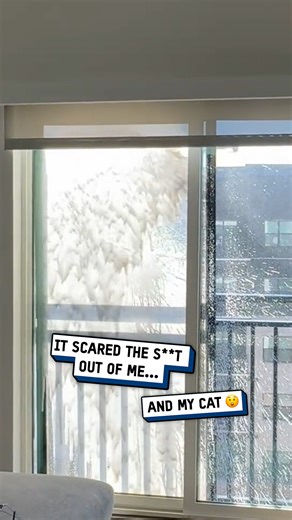 380K views · 1.6K reactions | A window cleaning drone got me and my cat  #drone #cats | UNILAD Tech | Facebook