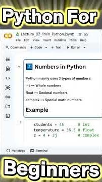 Integers, Floats & Complex Numbers in Python Explained 🐍