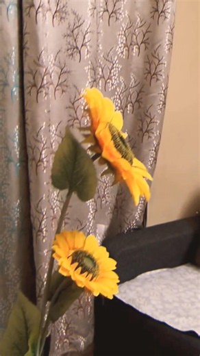 flower crazy edit 🤣🌻|croxy.editor#edit