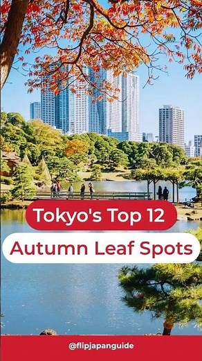 12 BEST Autumn Spots in Tokyo! 🍁