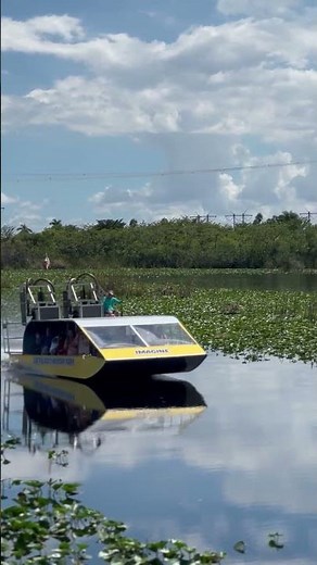 Everglades airboat tours in Fort Lauderdale | Everglades Holiday Park