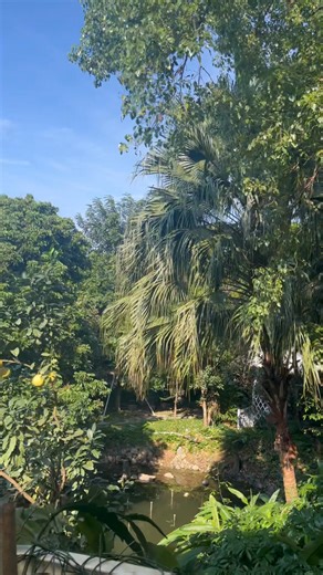 Nguyen Van Anh on Reels