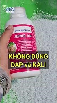 Can I skip DAP fertilizer when using Urea and Arignold 620? #rice_farming_techniques