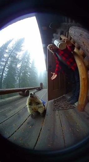 Funniest Ai video ever