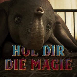 31K views · 337 reactions | Erlebe die Magie von DUMBO jetzt auf DVD, Blu-ray und als Download für zu Hause unter: https://amzn.to/2ZmEzf6 ✨ | Disney | Facebook