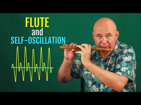 Flute and self-oscillation