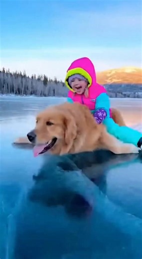 53K views · 355 reactions | Magical Ice Adventure with a Dog Experience the joy of a child and dog gliding on ice. #fblifestyle #AI Generated using Kling AI . . . (For entertainment purposes only. Consult professionals if guidance on activities is presented. No brand affiliation is implied if any are shown. If inspired by true events, creative adaptations may be included. Content may include public footage.) | Fabiosa Daily | Facebook