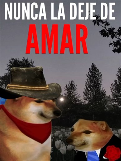 Nunca la dejé de amar: Cheems y sus tristes ediciones