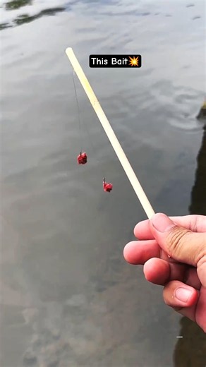 Fishing Video By Unique Rod Fish Catching in The World #fishing #shortvideo