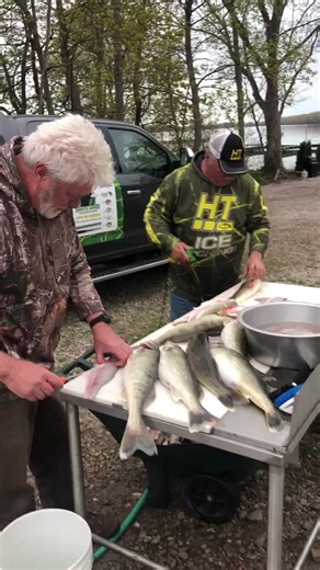 68K views · 168 reactions | Cleaning Walleyes with Coot #walleye #lakeerie #fish #fillet #howto #ohio | Coots Lures | Facebook