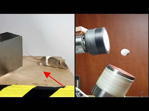 Magnetic Experiment Compilation #1