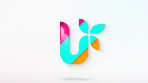 Rainbow Line Logo Reveal