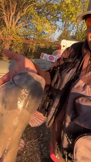 81 reactions · 10 comments | Dad started Using Zote Soap after We couldn’t get Moistn Chunky Dogfood anymore. So When You Catch The Fish They Would be Clean when We getem to The Bank. Good Times on The Water. | Casie Partridge | Facebook