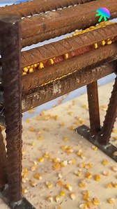 1M views · 615 reactions | Corn shelling trick video by Entice Studio | Craft Pop Max | Facebook