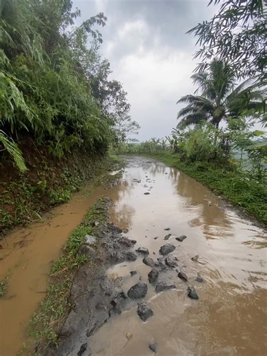 #masukberanda #viral #fyp