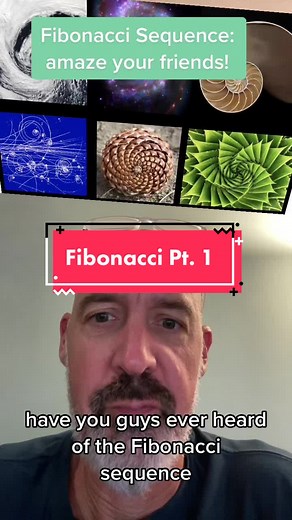 Exploration of the Fibonacci Sequence in Nature