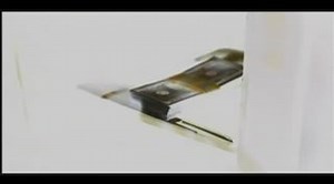 Catch That Kid  Trailer (2004) | Movie Trailers and Videos